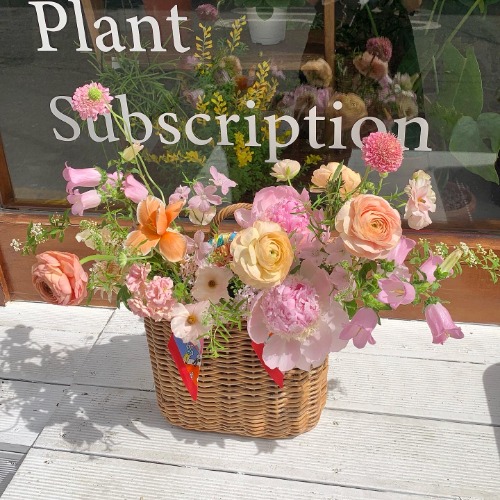 Flower basket XL size